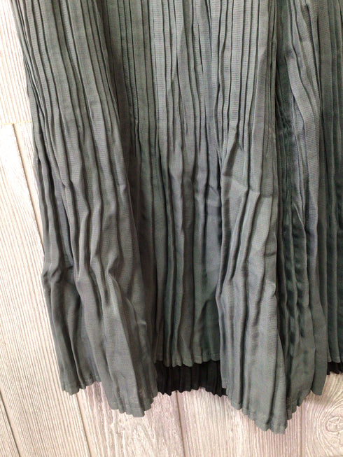 AlqueMA pleat Pants Size X-Small